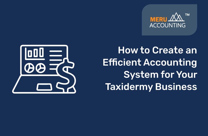 How to Create an Efficient Accounting System for Your Taxidermy Business